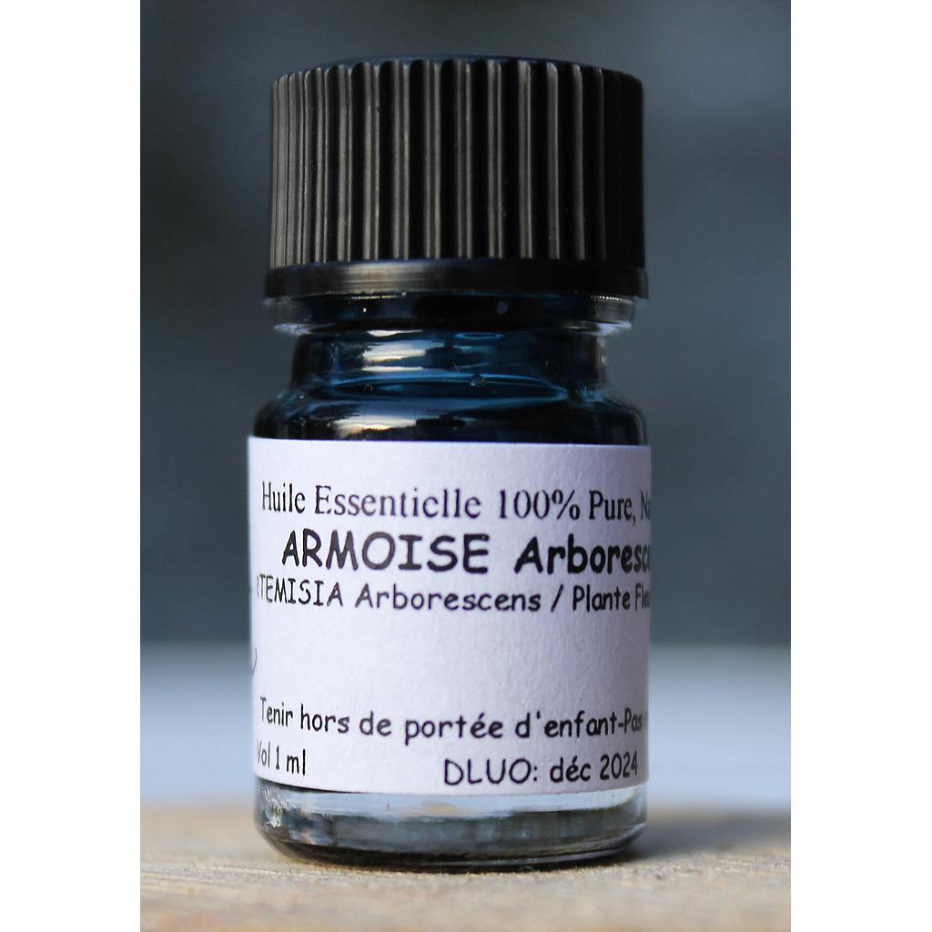 HE ARMOISE Arborescente